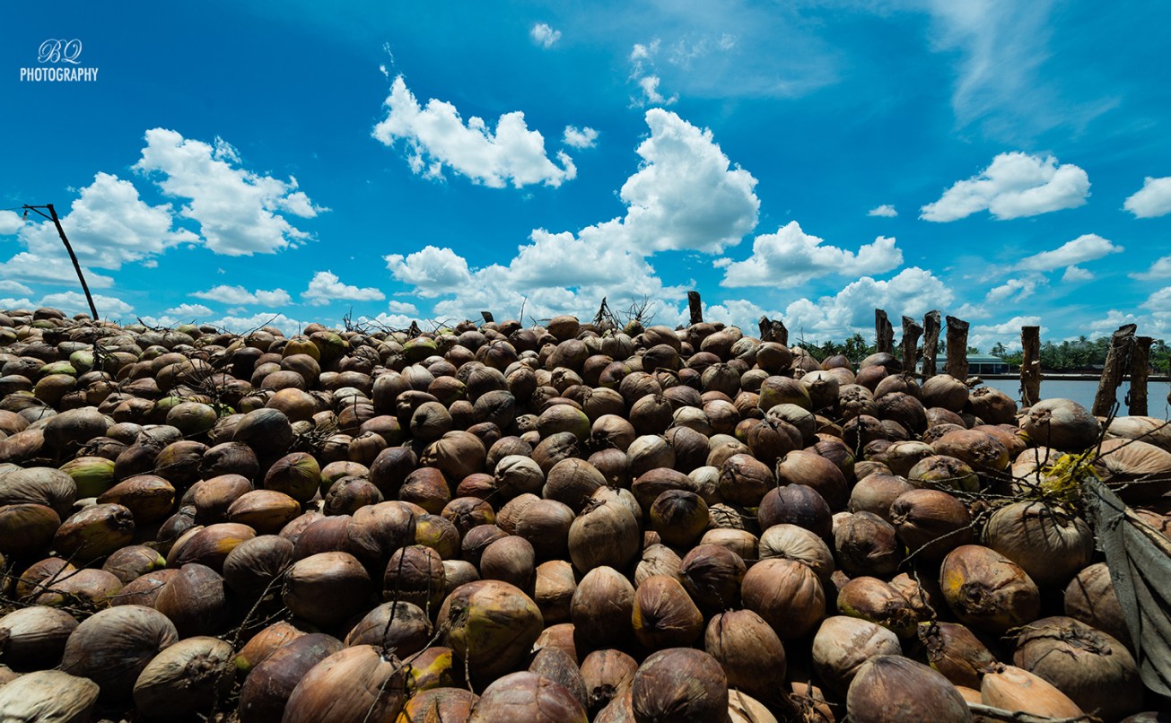 Ben Tre 17May14-6617