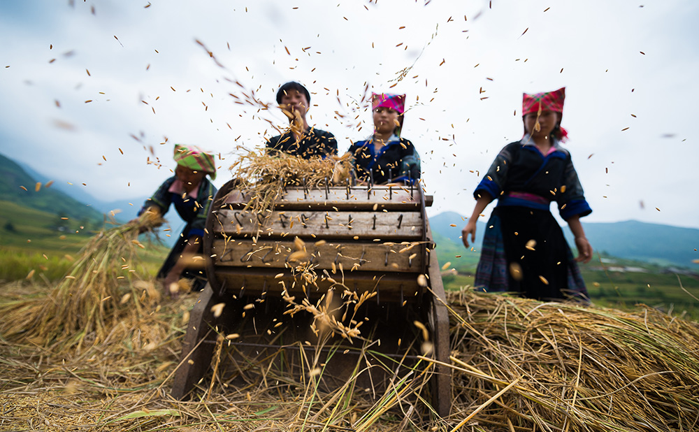 MuCangChai 22Sep14-3955