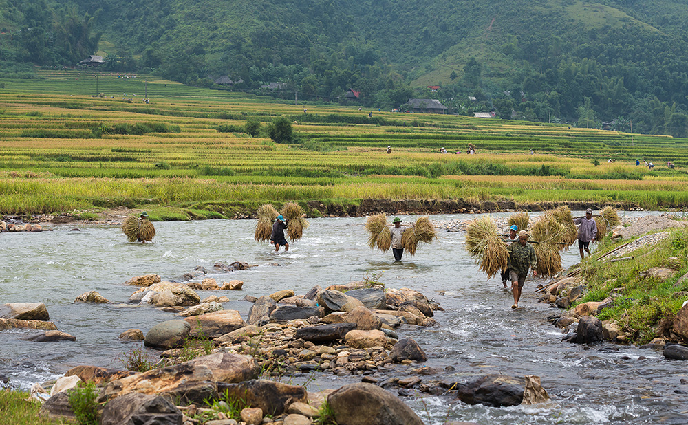 MuCangChai 22Sep14-4028